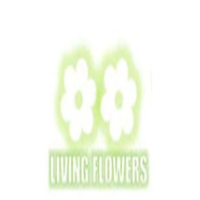 author - livingflowers