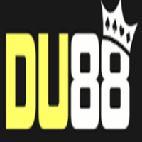 du88limited profile image