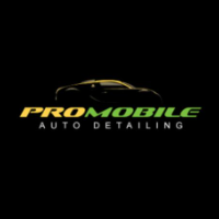 author - Pro Mobile Auto Detailing