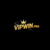 Vipwin pro profile image