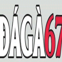 Daga67 ĐÁ GÀ 67 profile image