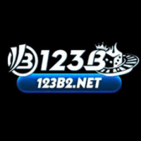 123b2net profile image