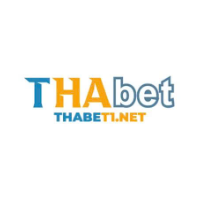 thabet1net profile image