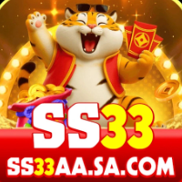 SS33 profile image