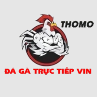 dagatructiepvin profile image