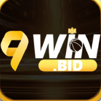 9winbid profile image