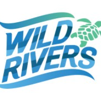 author - Davidsellbey