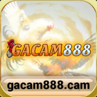 GACAM888 profile image