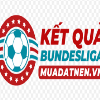 Kết quả Bundesliga profile image