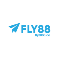fly888co profile image