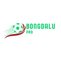 bongdalu profile image