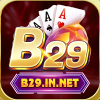 B29 Club profile image