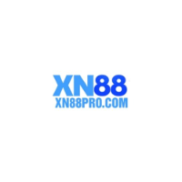 XN88 profile image