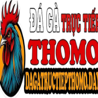 dagatructiepthomoday profile image
