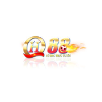 qh88vfs2 profile image