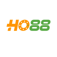 HO88 profile image
