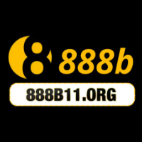888b11org profile image