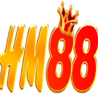 HM88 profile image