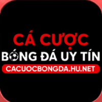 Cá cược bóng đá profile image