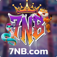 7NB Plataforma de Jogos profile image