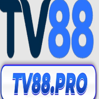 TV88 profile image