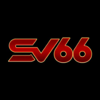 sv66 profile image