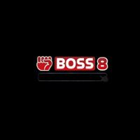 Boss8 shop profile image