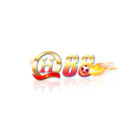 QH88 profile image