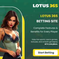 dmlotus365 profile image