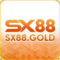 SX88 profile image