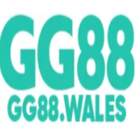 gg88wales profile image