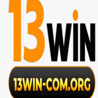 13Wincomorg profile image