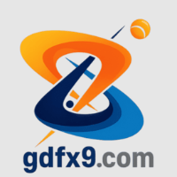 gdfx9com profile image