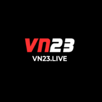 VN23 live profile image