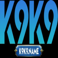 K9k9 name profile image