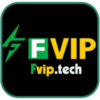FVIP profile image