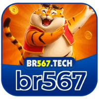 br567 profile image