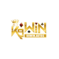 K9win autos profile image