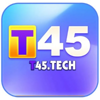 T45 profile image