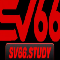 Sv66study profile image
