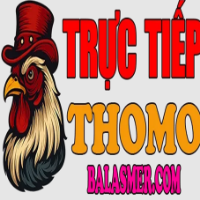 dagatructiepbalas profile image