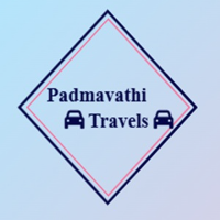 Padmavathi Travels Chennai profile image