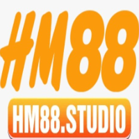Hm88 studio profile image