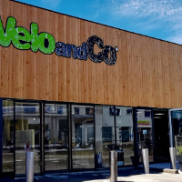 velocosaronidavid profile image