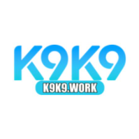 k9k9work profile image