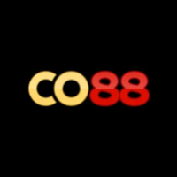 Co88 profile image
