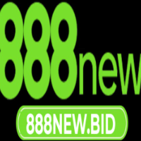 888newbid profile image