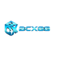 bcx88work profile image