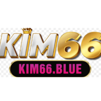 KIM66 profile image