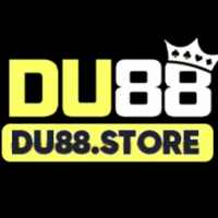 DU88 profile image